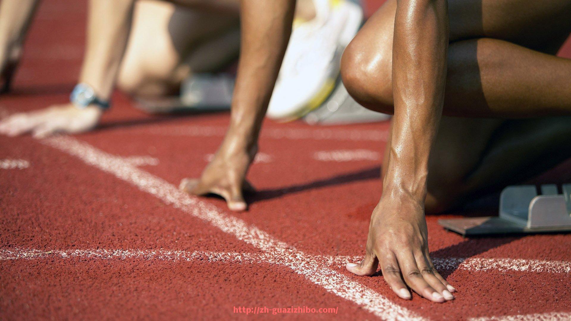 瓜子直播-综合训练类健身器材主流品牌及其功能对比参考